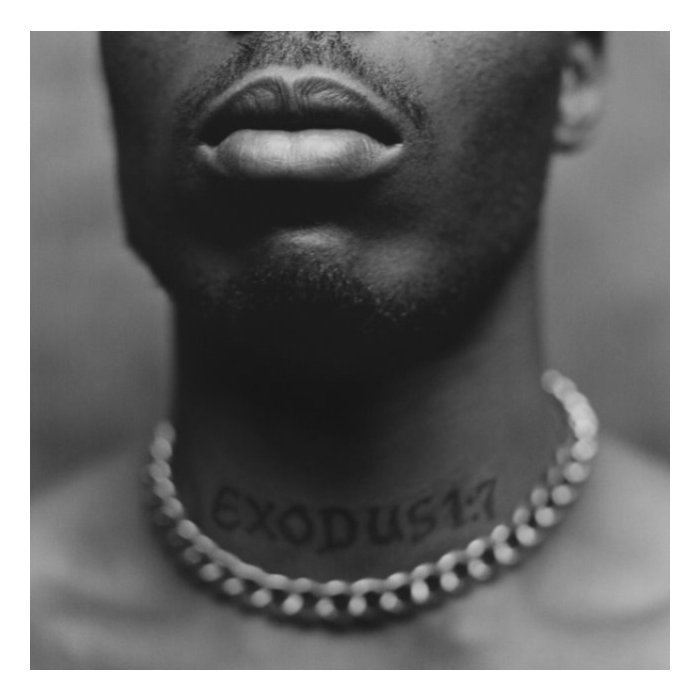 DMX - EXODUS (X)
