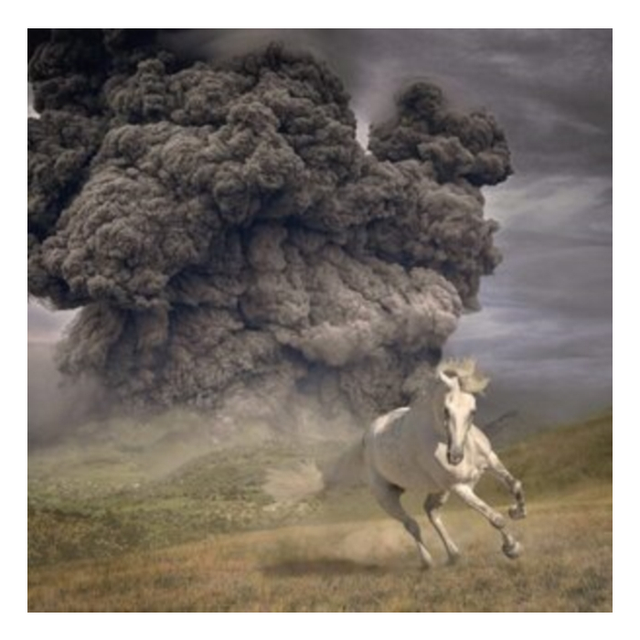 WHITE BUFFALO - YEAR OF THE DARK HORSE (GRAY VINYL)