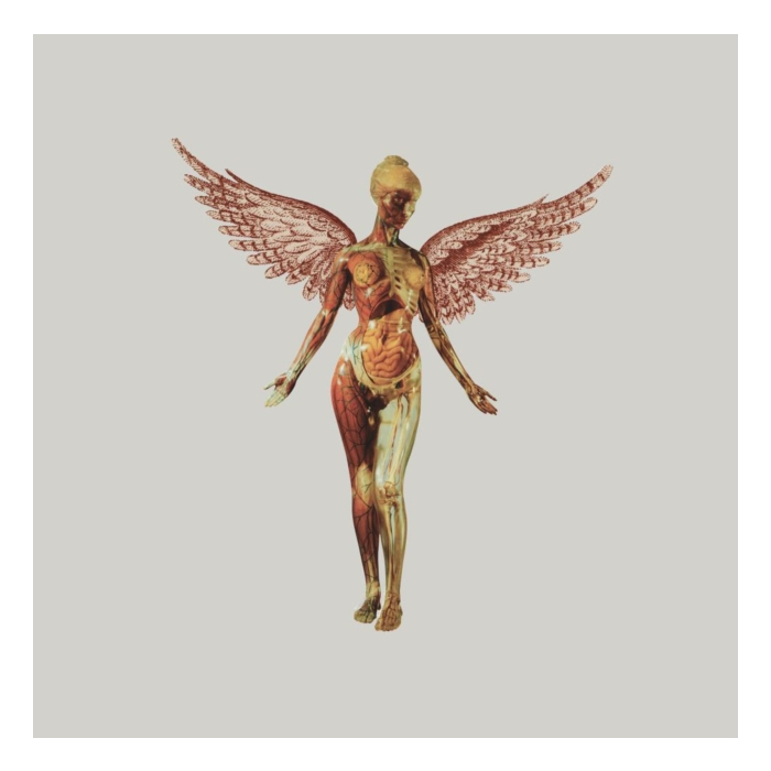 NIRVANA - IN UTERO (30TH ANNIVERSARY) (8LP)
