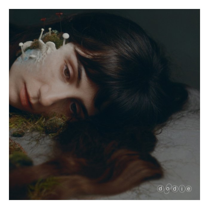 Not For Lack Of Trying (Signed Insert) (I) - Dodie