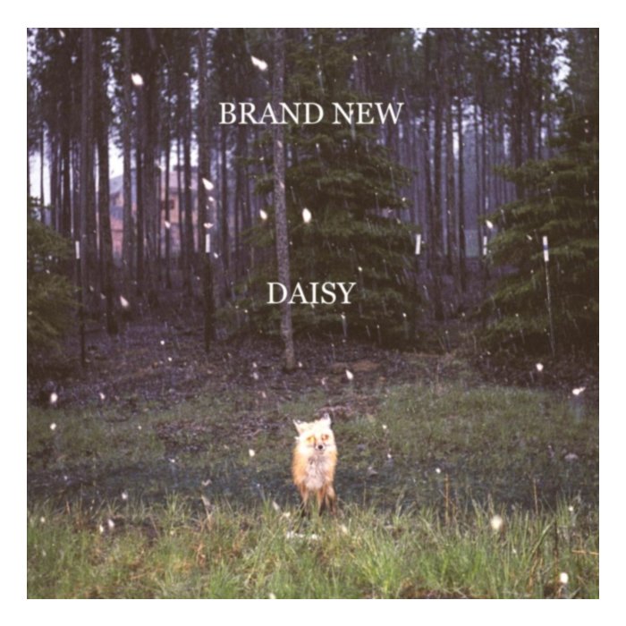 Daisy - Brand New