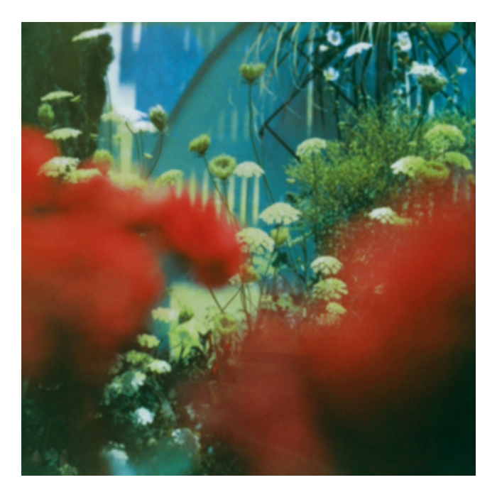 PULLED APART BY HORSES - HAZE (GREEN VINYL/LIMITED)
