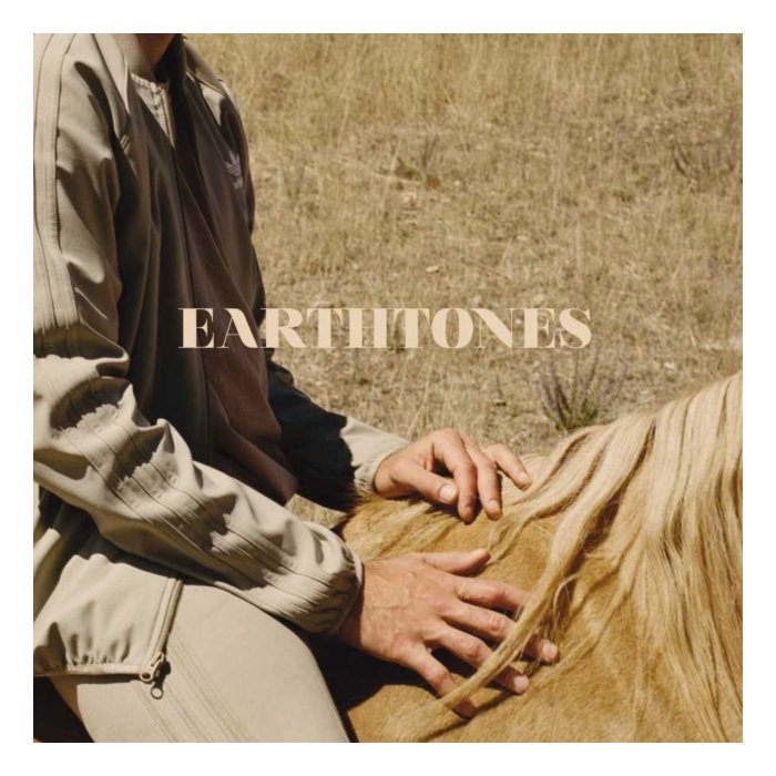 BAHAMAS - EARTHTONES (LP)