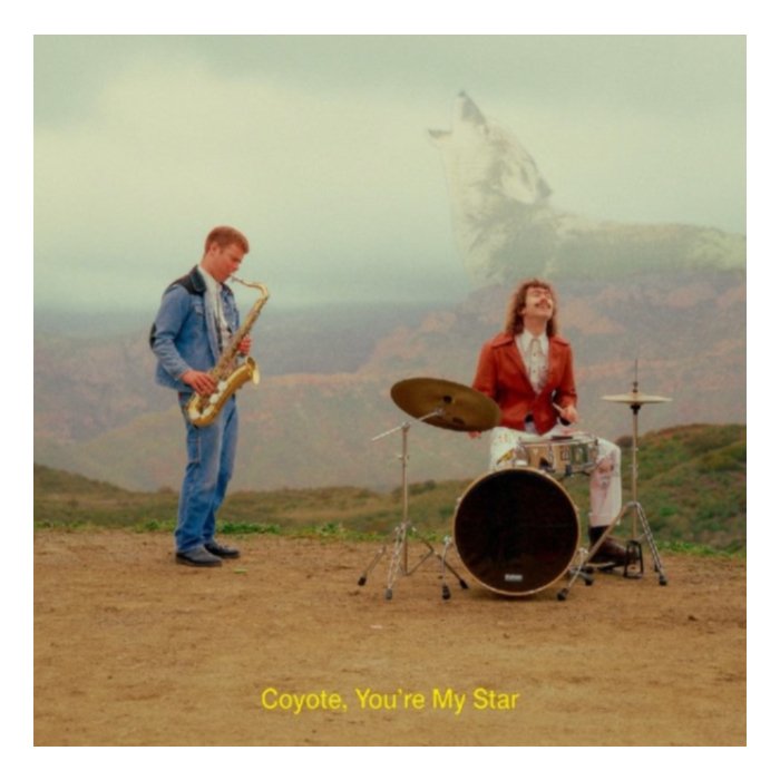 Coyote, You'Re My Star (Chocobanano Vinyl) - Dana & Alden