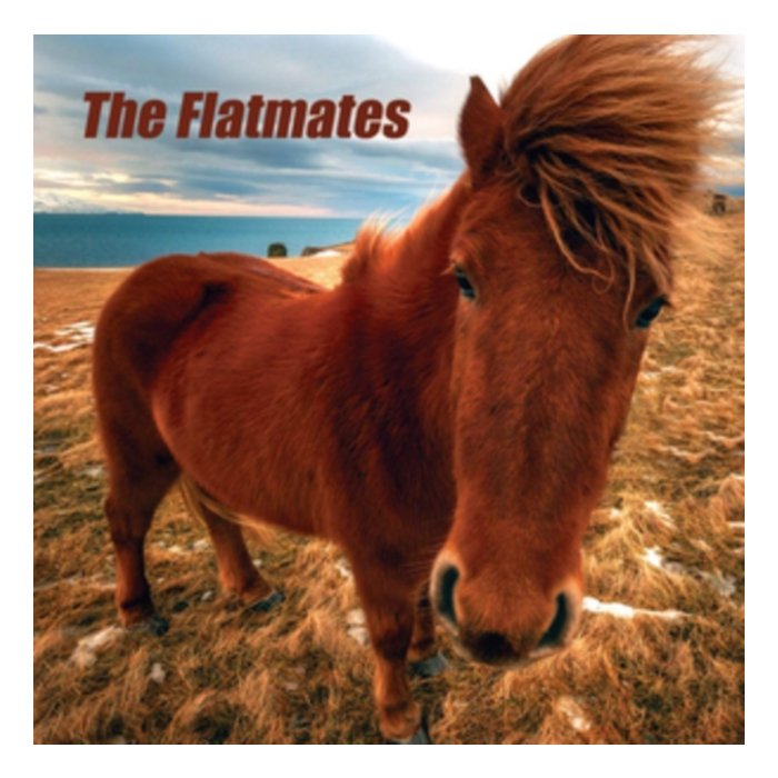 FLATMATES - FLATMATES