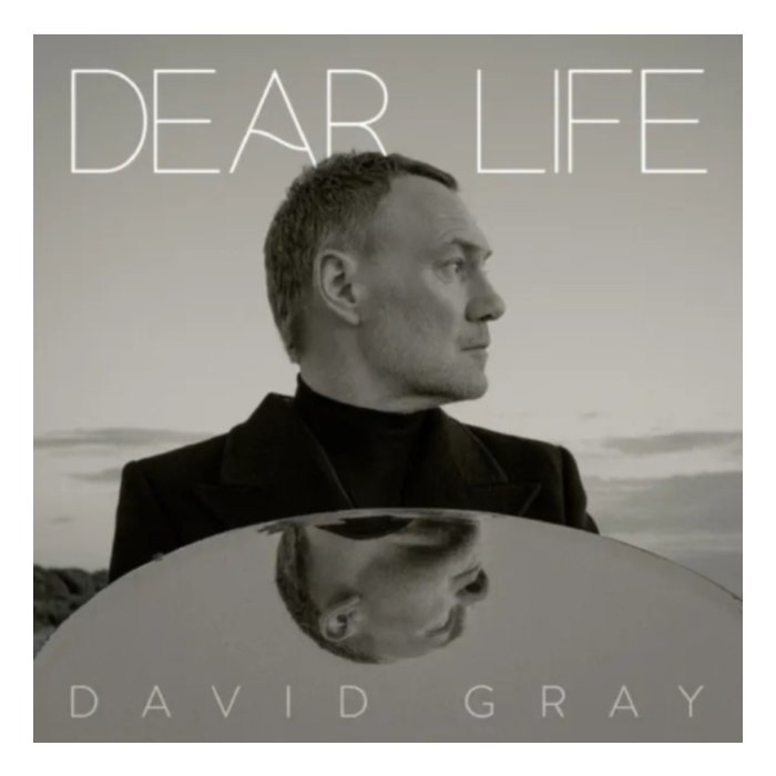 Dear Life (Coloured Vinyl) - David Gray
