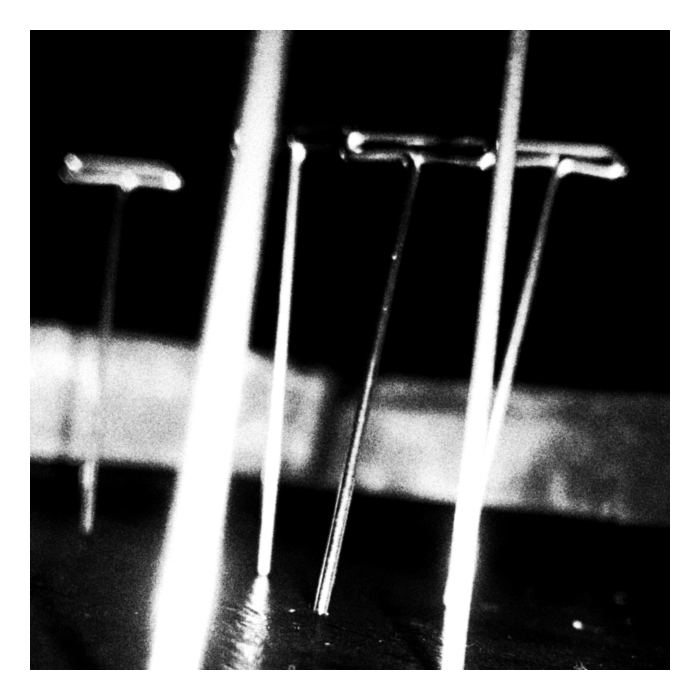 SOFT VEIN - PRESSED IN GLASS