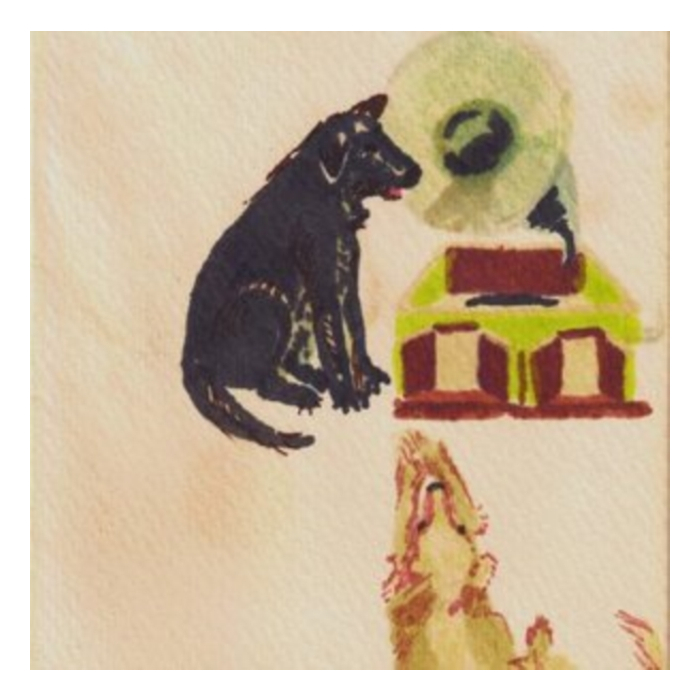 DWAAL TROUPE - LUCKY DOG