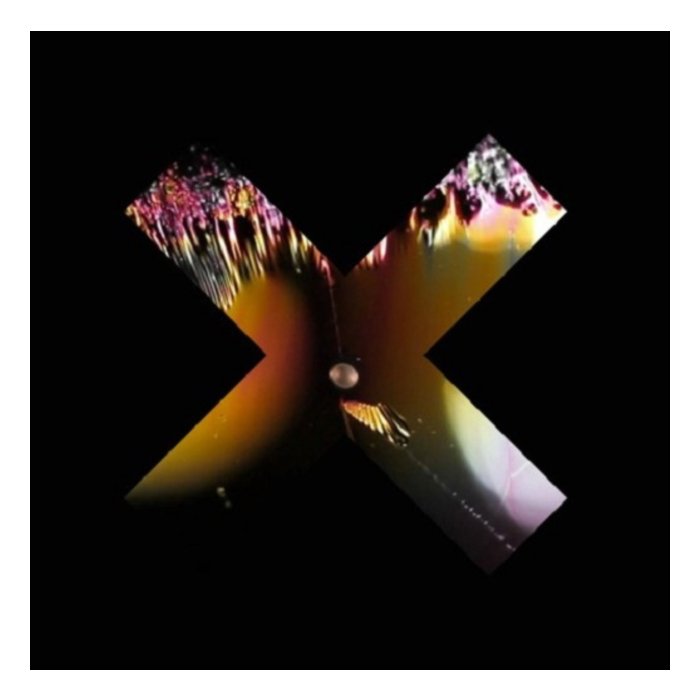 XX - COEXIST