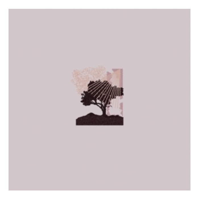 LAND OF TALK - PERFORMANCES (ECOMIX VINYL)