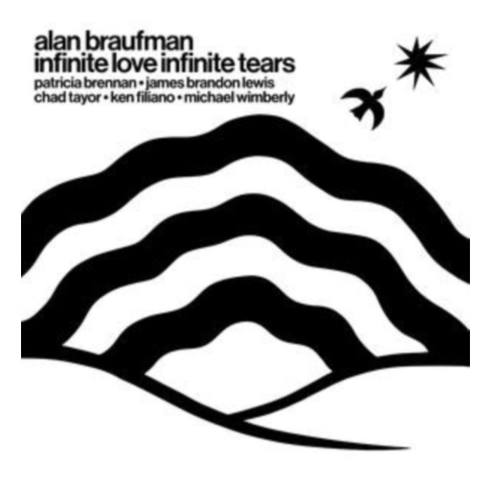 Infinite Love Infinite Tears - Alan Braufman