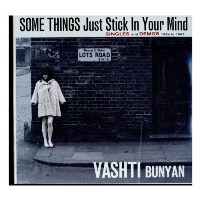 Some Things Just Stick In Your Mind (2Lp) - Vashti Bunyan