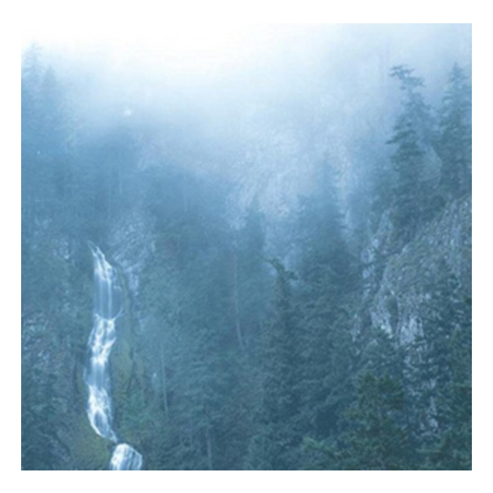 Diadem Of 12 Stars - Wolves In The Throne Room