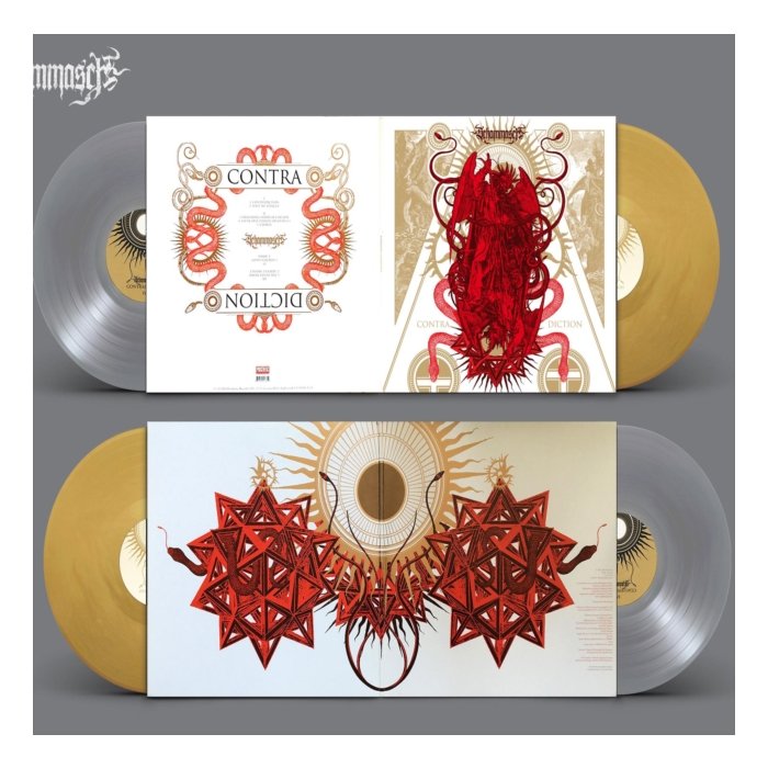 SCHAMMASCH - CONTRADICTION