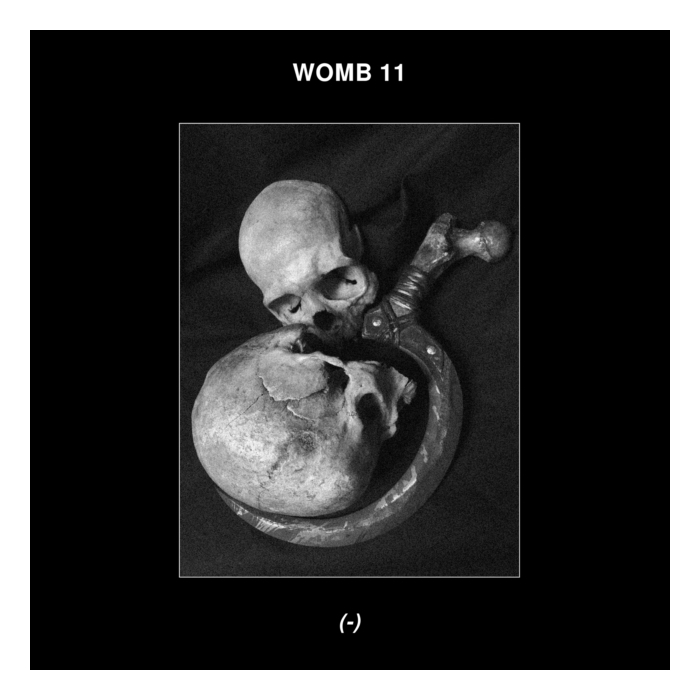 WOMB11 - (-)