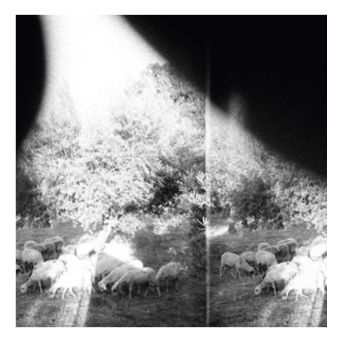 Asunder Sweet & Other Distress - Godspeed You Black Emperor