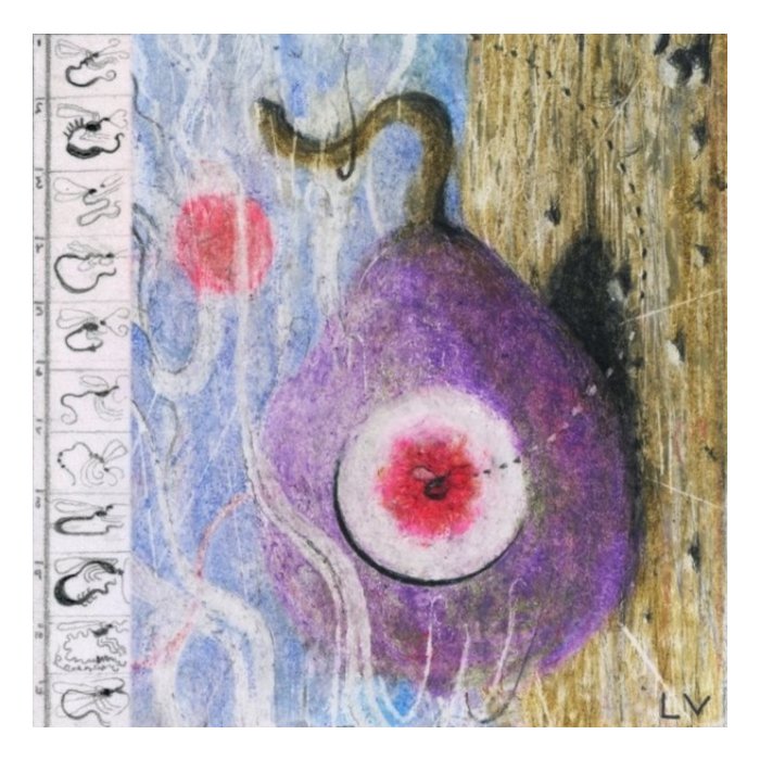 LUNAR VACATION - INSIDE EVERY FIG IS A DEAD WASP (ORANGE CREAM VINYL) (I)