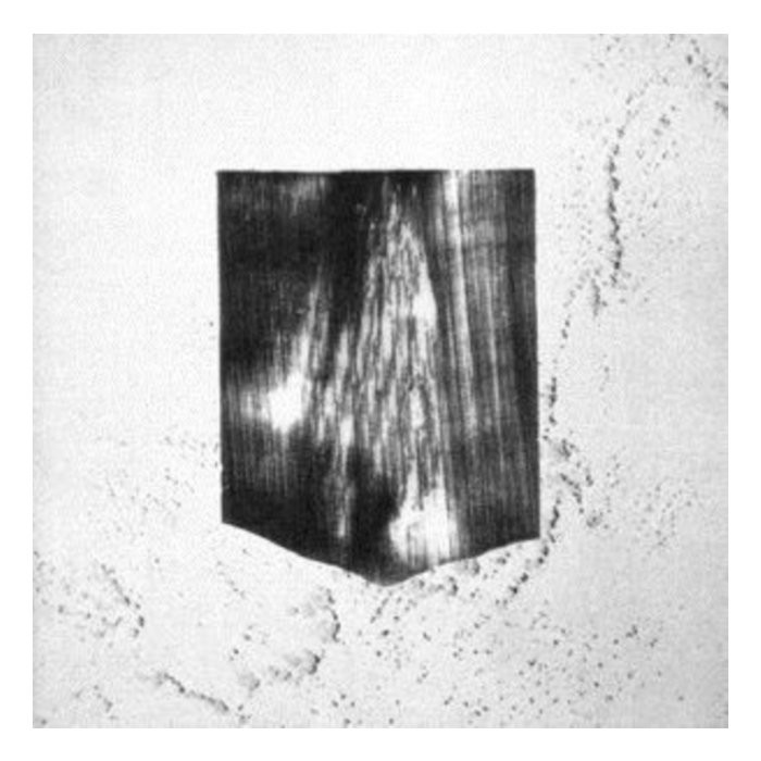 ROBEDOOR - NEGATIVE LEGACY