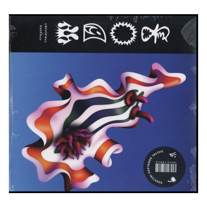 DIVINO NNO - FOAM