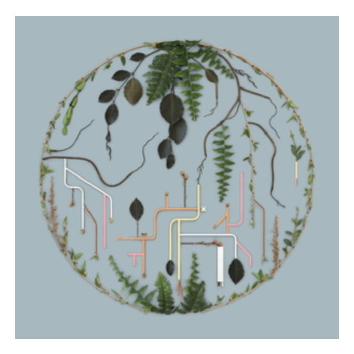 EL BÃHO - TRIBUTARIES: VOL. 2