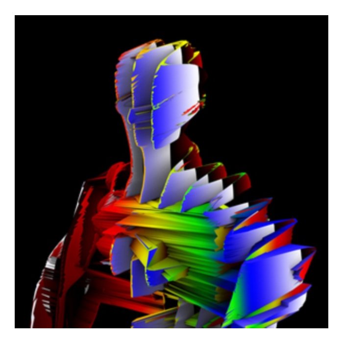 VISIBLE CLOAKS - LEX