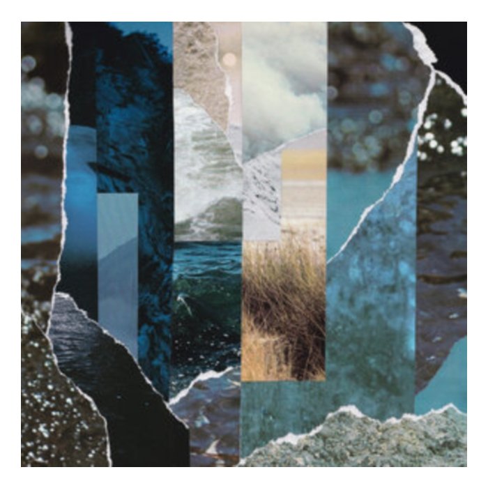 CREMATION LILY - DREAMS DRENCHED IN STATIC