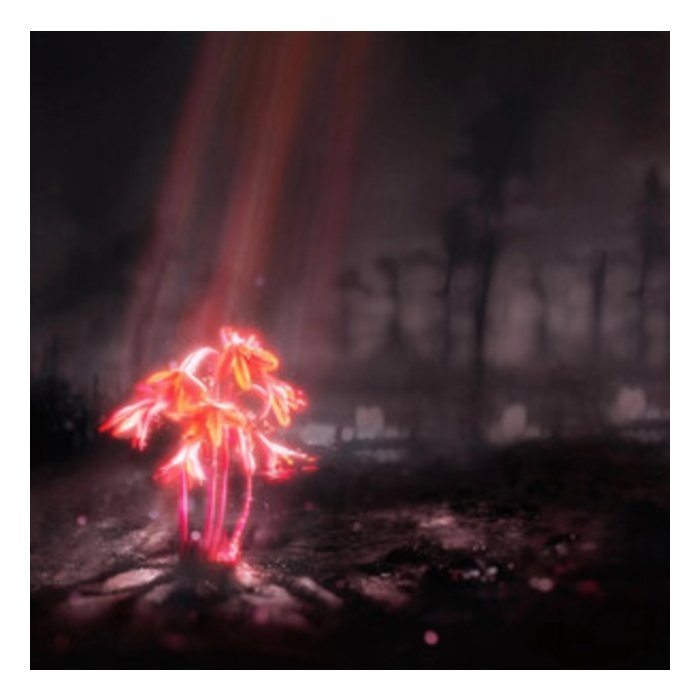 Kiss For The Whole World (Purple Vinyl) (I) - Enter Shikari
