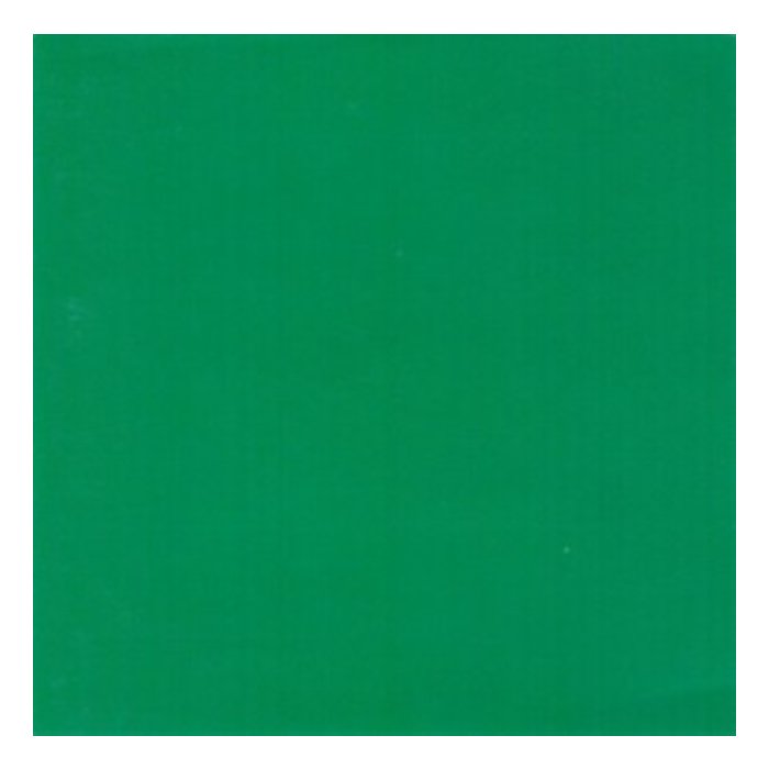 Green Album - Skankin Pickle