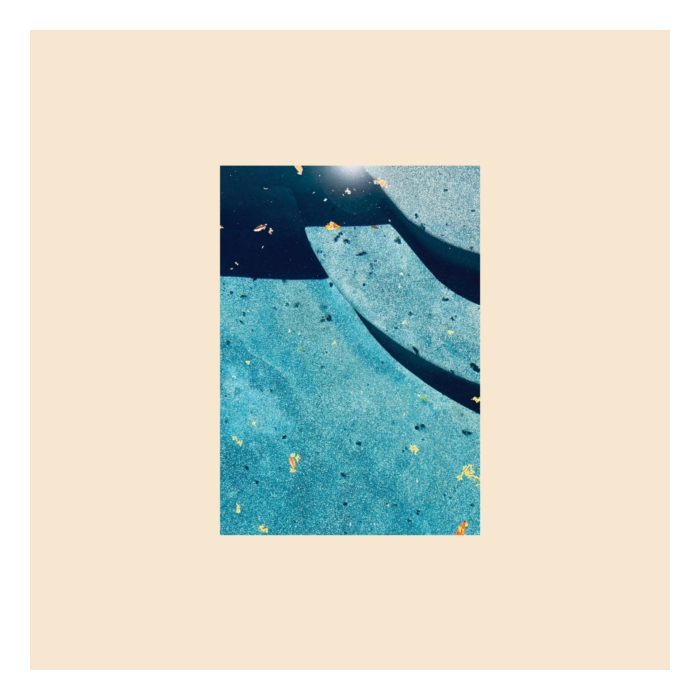 GIANT DAY - GLASS NARCISSUS