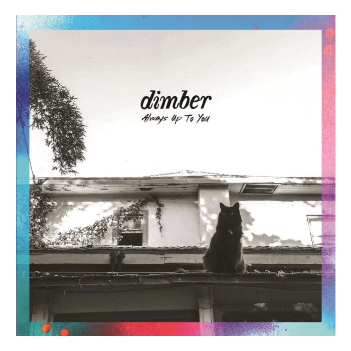 DIMBER - ALWAYS UP TO YOU
