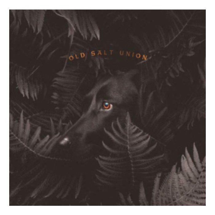 Where The Dogs Don'T Bite - Old Salt Union