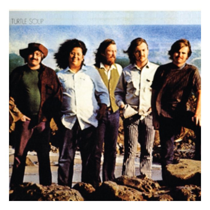 TURTLES - TURTLE SOUP