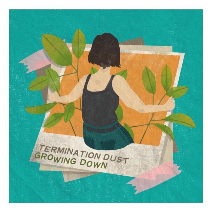TERMINATION DUST - GROWING DOWN