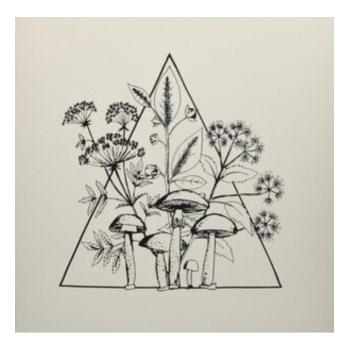 LES CONVERSIONS - CASSETTE
