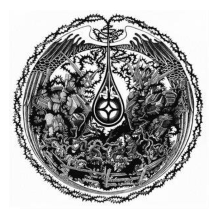 Briars On A Dewdrop - Williams, Jr., Turner