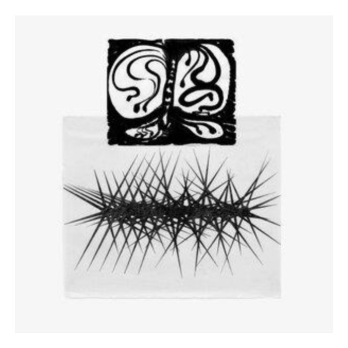 Halos Of Perception - Lerkenfeldt,Lisa