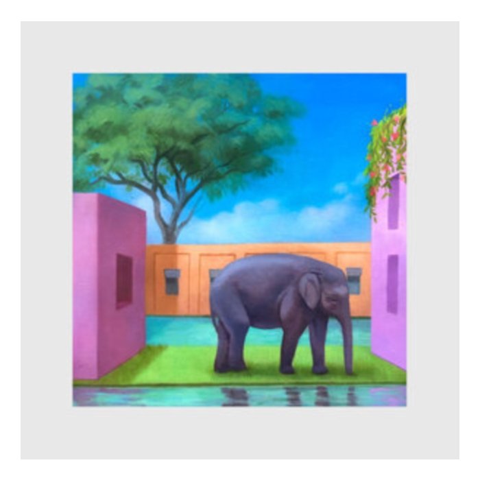KOREA TOWN ACID - ELEPHANT IN THE ROOM