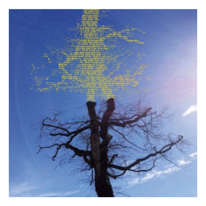 Rooting For Love - Sadier,Laetitia