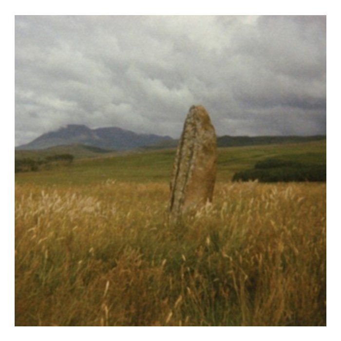 In Search Of Spaces - Flying Saucer Attack