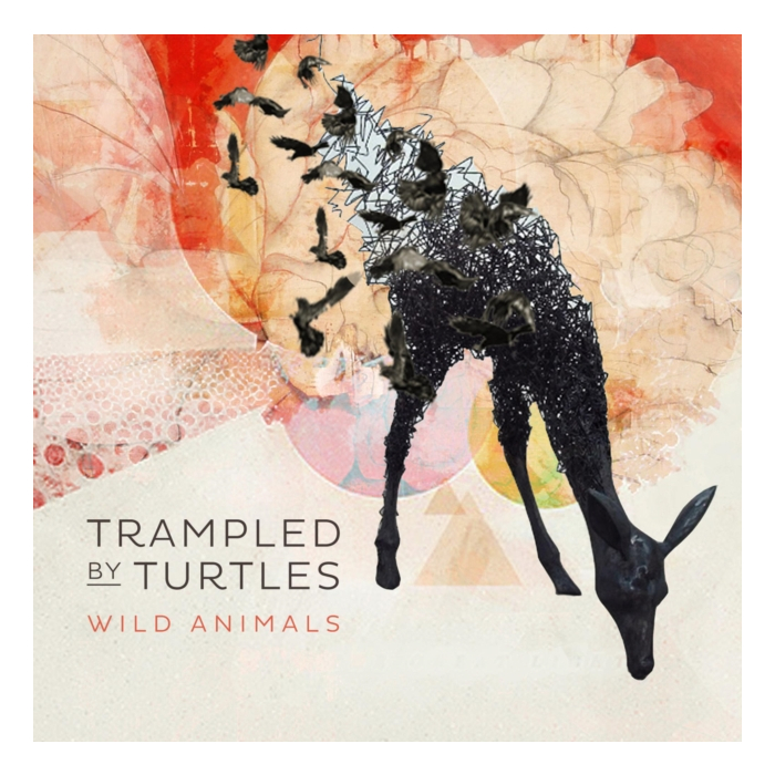TRAMPLED BY TURTLES - WILD ANIMALS