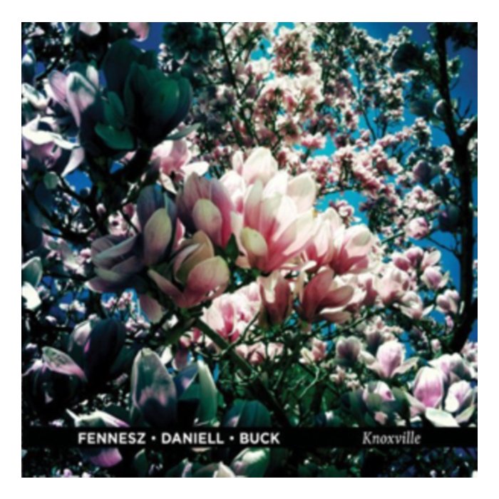 FENNESZ / DANIELL / BUCK - KNOXVILLE