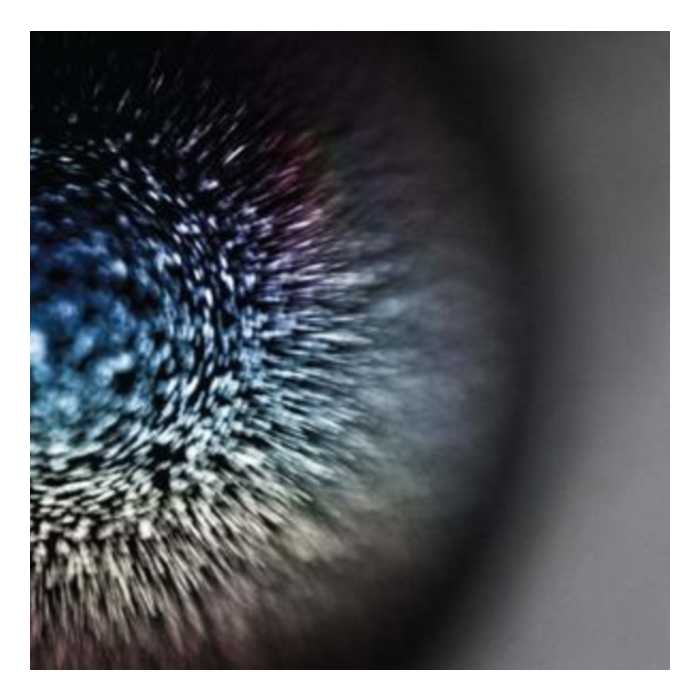 EMPTYSET - BLOSSOMS (VIRGIN VINYL/DL CARD)