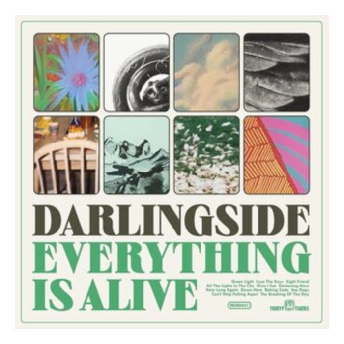 DARLINGSIDE - EVERYTHING IS ALIVE