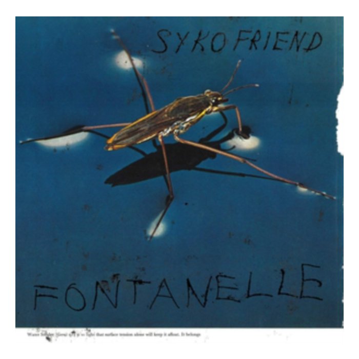 SYKO FRIEND - FONTANELLE