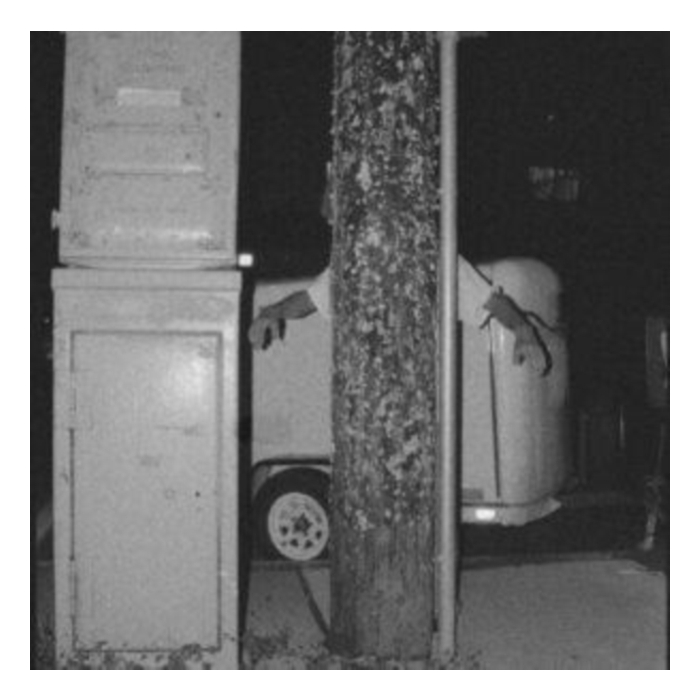 PAPER TIGER - ALL OVER THE PLACE (OPAQUE WHITE VINYL)