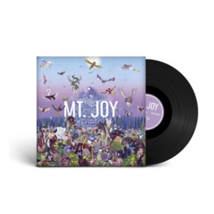 MT. JOY - REARRANGE US