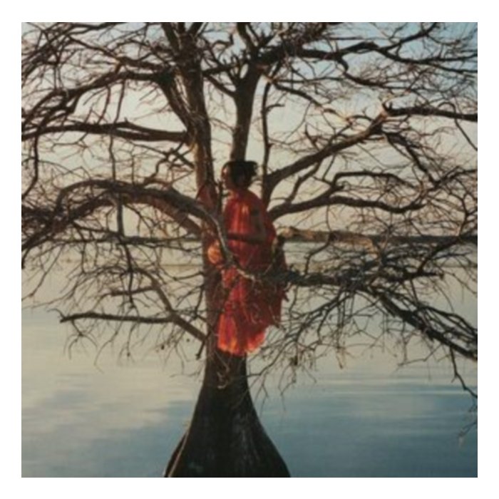 Eldest Daughter - Gatlin