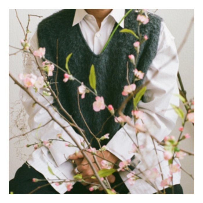 Cherry Blossom Baby - Shigeto