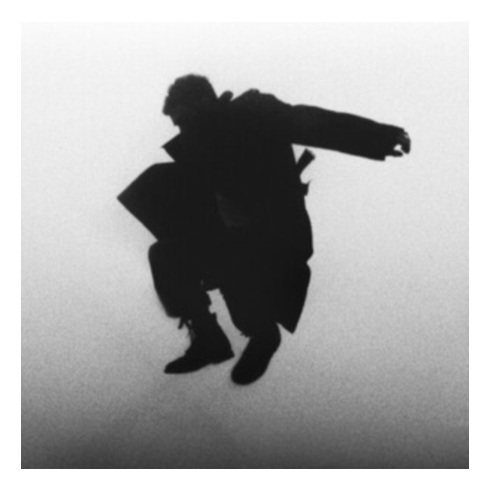 Chasing The Chimera (Clear Vinyl) - Del Water Gap