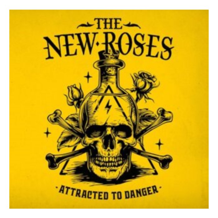 Attracted To Danger - New Roses